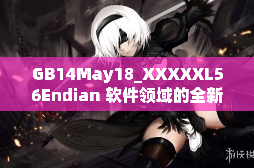 GB14May18_XXXXXL56Endian 软件领域的全新探索与应用