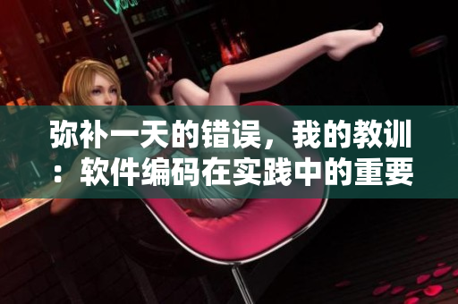 弥补一天的错误，我的教训：软件编码在实践中的重要性