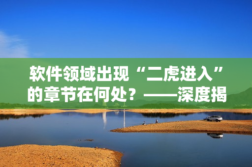 软件领域出现“二虎进入”的章节在何处？——深度揭秘软件界的佼佼者