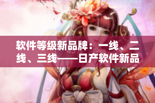 软件等级新品牌：一线、二线、三线——日产软件新品发布