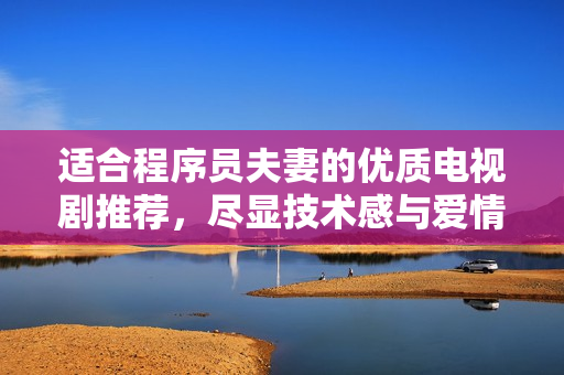 适合程序员夫妻的优质电视剧推荐，尽显技术感与爱情力量