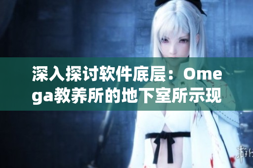深入探讨软件底层：Omega教养所的地下室所示现代软件开发的必备知识