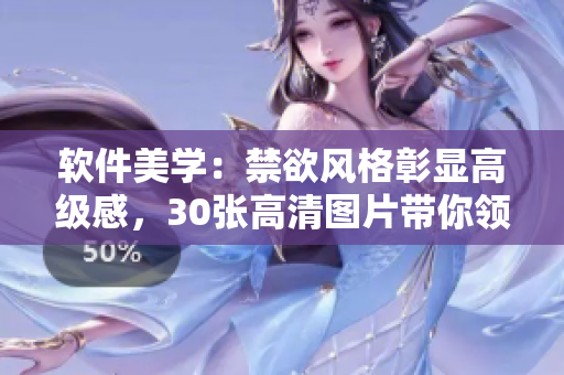 软件美学：禁欲风格彰显高级感，30张高清图片带你领略
