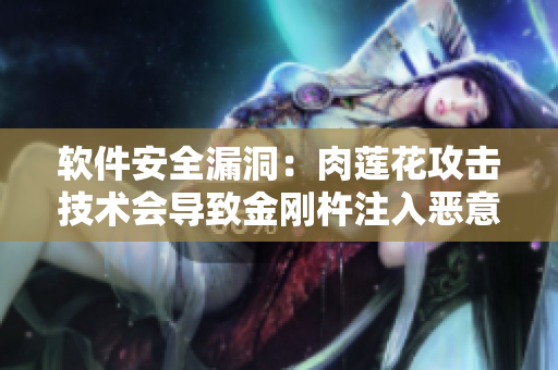 软件安全漏洞：肉莲花攻击技术会导致金刚杵注入恶意代码！