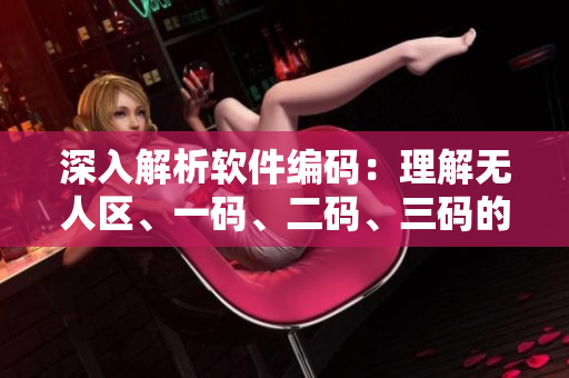 深入解析软件编码：理解无人区、一码、二码、三码的区别
