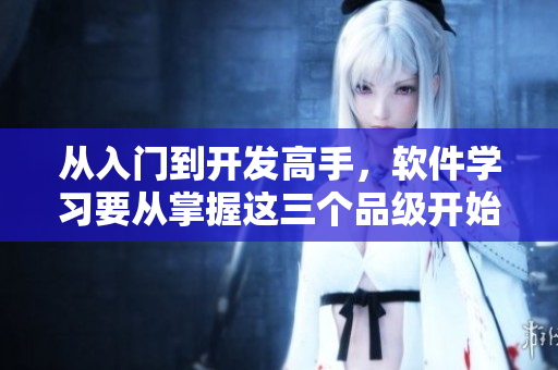 从入门到开发高手，软件学习要从掌握这三个品级开始，你准备好了吗？