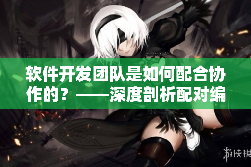 软件开发团队是如何配合协作的？——深度剖析配对编程的工作方式