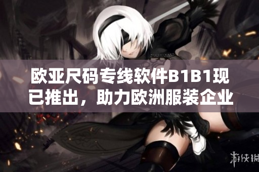 欧亚尺码专线软件B1B1现已推出，助力欧洲服装企业扩大全球市场！