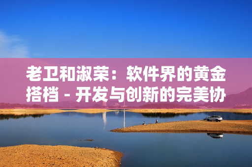 老卫和淑荣：软件界的黄金搭档 - 开发与创新的完美协奏