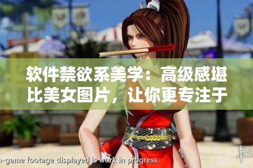 软件禁欲系美学：高级感堪比美女图片，让你更专注于软件开发