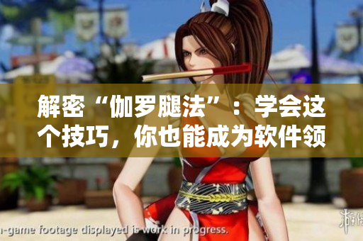 解密“伽罗腿法”：学会这个技巧，你也能成为软件领域的高手！