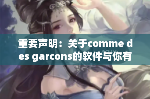 重要声明：关于comme des garcons的软件与你有关！