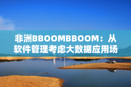 非洲BBOOMBBOOM：从软件管理考虑大数据应用场景