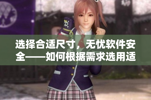 选择合适尺寸，无忧软件安全——如何根据需求选用适合的软件？
