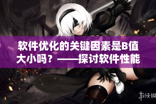 软件优化的关键因素是B值大小吗？——探讨软件性能优化的关键指标