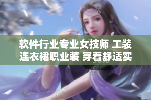 软件行业专业女技师 工装连衣裙职业装 穿着舒适实用