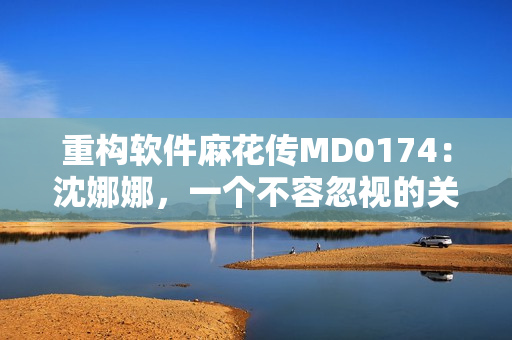重构软件麻花传MD0174：沈娜娜，一个不容忽视的关键角色