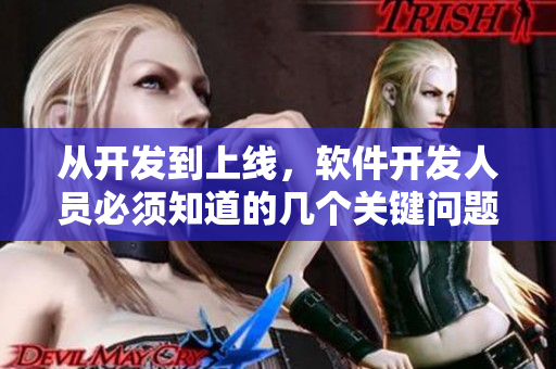 从开发到上线，软件开发人员必须知道的几个关键问题