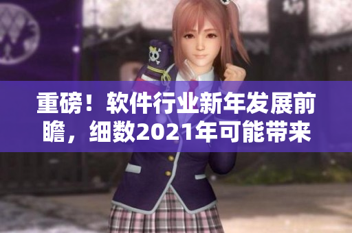 重磅！软件行业新年发展前瞻，细数2021年可能带来的转机和机遇！