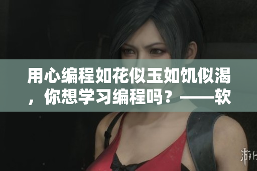 用心编程如花似玉如饥似渴，你想学习编程吗？——软件开发者们的故事