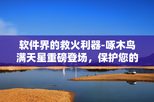 软件界的救火利器-啄木鸟满天星重磅登场，保护您的数据安全