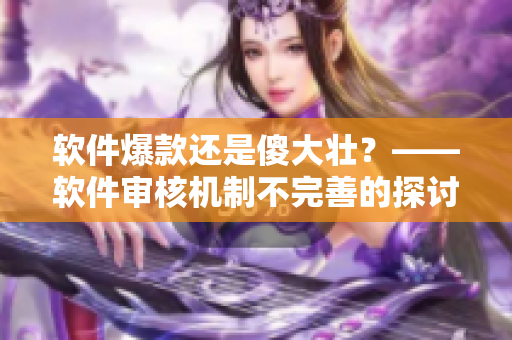 软件爆款还是傻大壮？——软件审核机制不完善的探讨