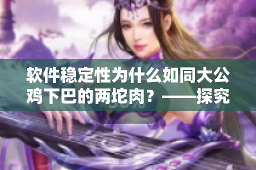 软件稳定性为什么如同大公鸡下巴的两坨肉？——探究软件缺陷背后的深层原因