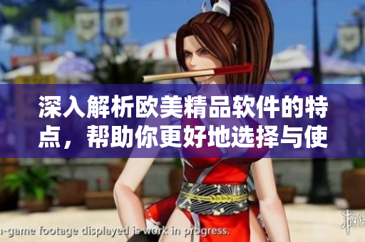 深入解析欧美精品软件的特点，帮助你更好地选择与使用 – 一二三