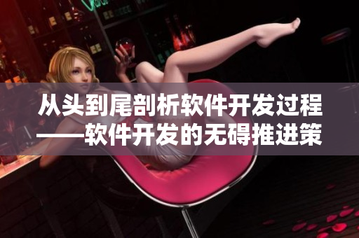 从头到尾剖析软件开发过程——软件开发的无碍推进策略