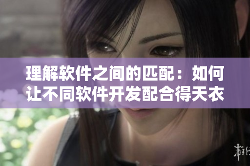 理解软件之间的匹配：如何让不同软件开发配合得天衣无缝？