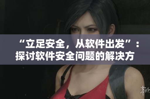 “立足安全，从软件出发”：探讨软件安全问题的解决方案