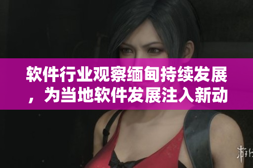 软件行业观察缅甸持续发展，为当地软件发展注入新动力