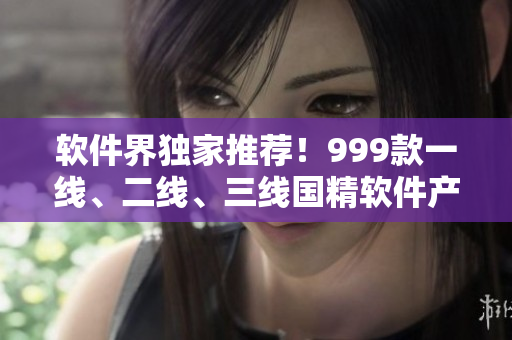 软件界独家推荐！999款一线、二线、三线国精软件产品全解析