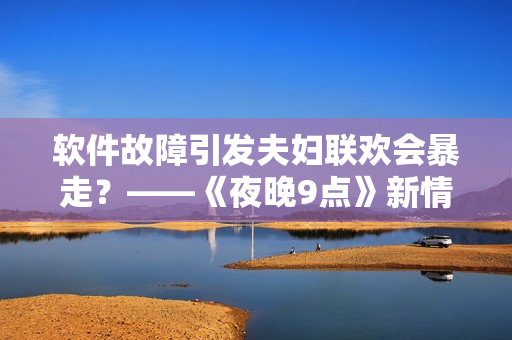 软件故障引发夫妇联欢会暴走？——《夜晚9点》新情节揭秘