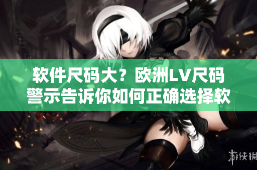 软件尺码大？欧洲LV尺码警示告诉你如何正确选择软件尺码