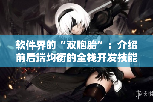 软件界的“双胞胎”：介绍前后端均衡的全栈开发技能！
