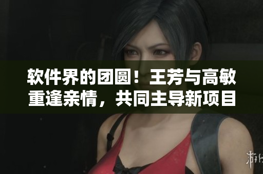 软件界的团圆！王芳与高敏重逢亲情，共同主导新项目！