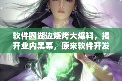 软件圈湖边烧烤大爆料，揭开业内黑幕，原来软件开发也有这么多“黑料”！