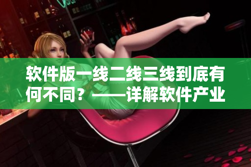 软件版一线二线三线到底有何不同？——详解软件产业的分级分类