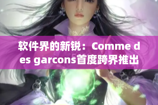 软件界的新锐：Comme des garcons首度跨界推出软件应用