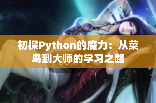初探Python的魔力：从菜鸟到大师的学习之路