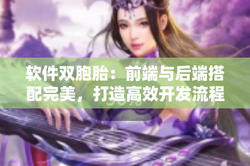 软件双胞胎：前端与后端搭配完美，打造高效开发流程