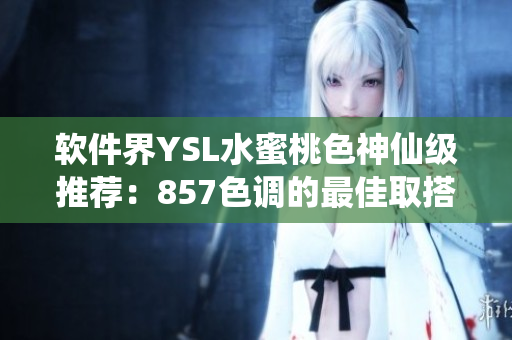 软件界YSL水蜜桃色神仙级推荐：857色调的最佳取搭配方案