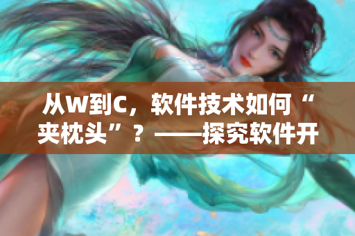 从W到C，软件技术如何“夹枕头”？——探究软件开发中的优化策略