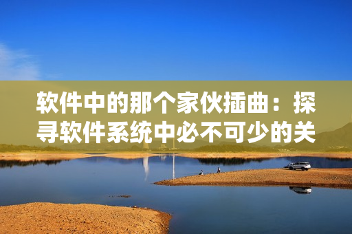 软件中的那个家伙插曲：探寻软件系统中必不可少的关键组件