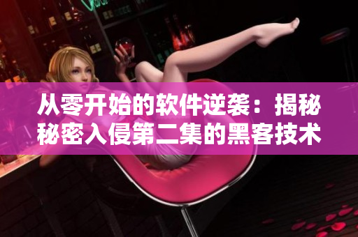 从零开始的软件逆袭：揭秘秘密入侵第二集的黑客技术
