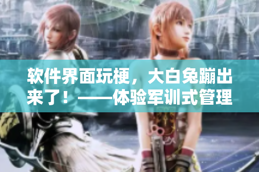 软件界面玩梗，大白兔蹦出来了！——体验军训式管理方法的新趋势！