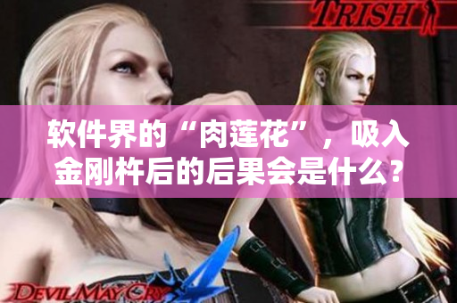 软件界的“肉莲花”，吸入金刚杵后的后果会是什么？
