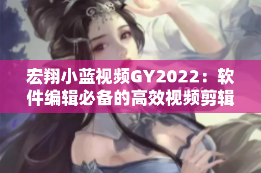 宏翔小蓝视频GY2022：软件编辑必备的高效视频剪辑工具