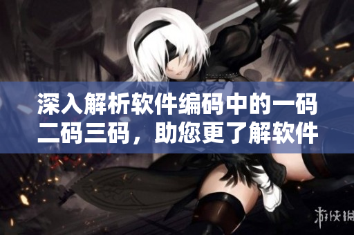 深入解析软件编码中的一码二码三码，助您更了解软件开发过程